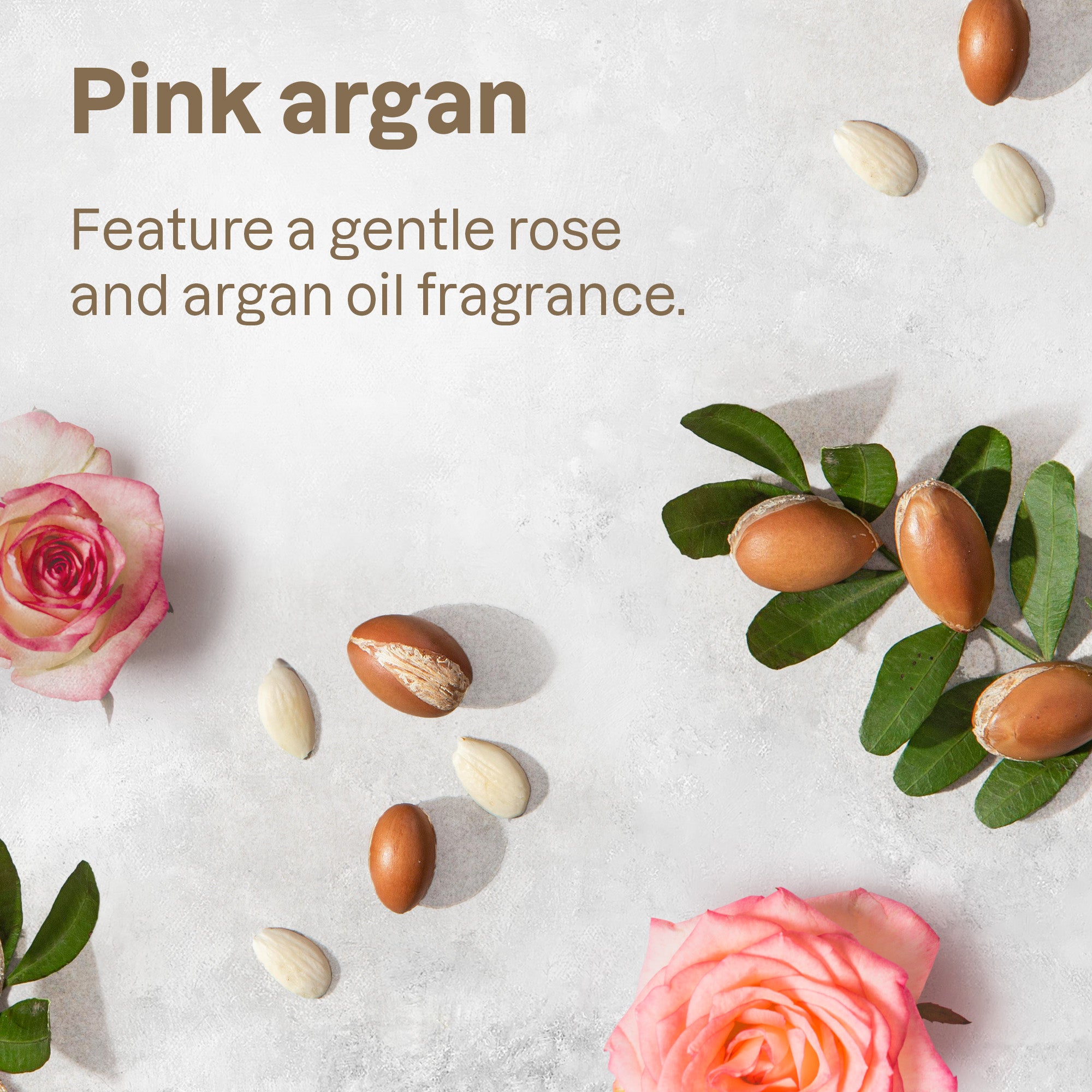 BB_Fragrance_Argan_626232182118.jpg