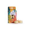 Citronella Tea Light Candles