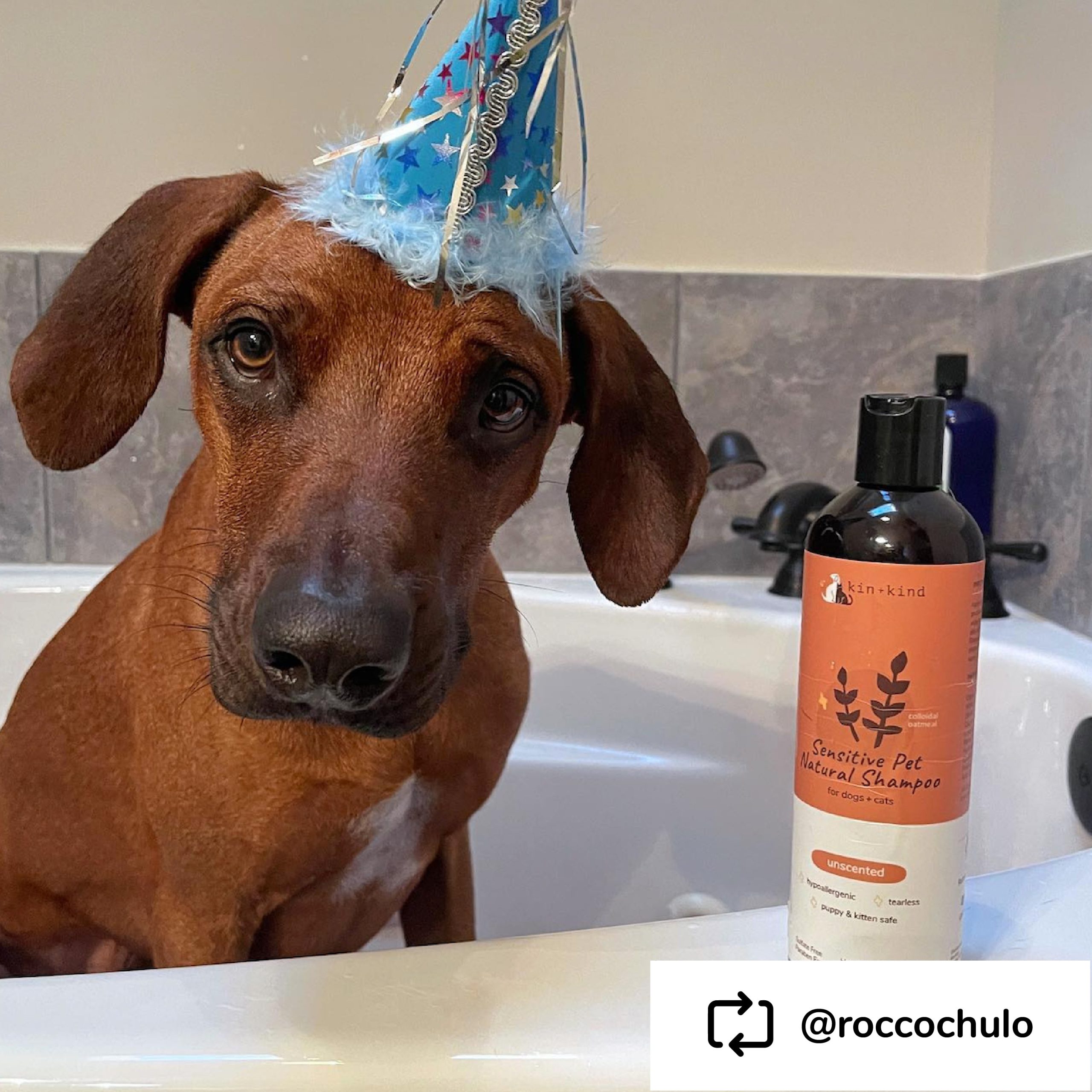 Copyof5.UGCImageShampoo_ConditionerSensitiveSkinShampoo.jpg