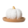 Pumpkin Passive Diffuser