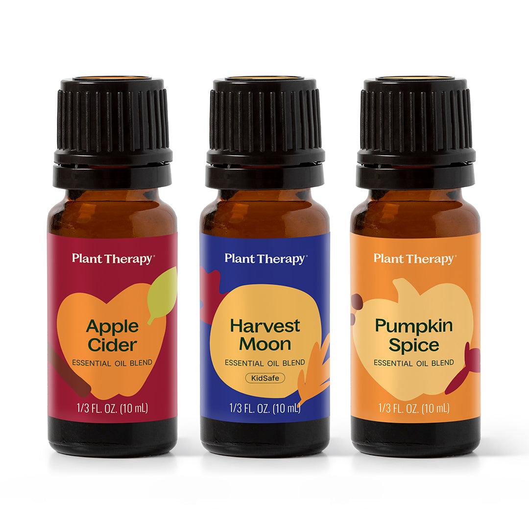 CopyofPumpkin_Harvest_Set-ISO-01.jpg