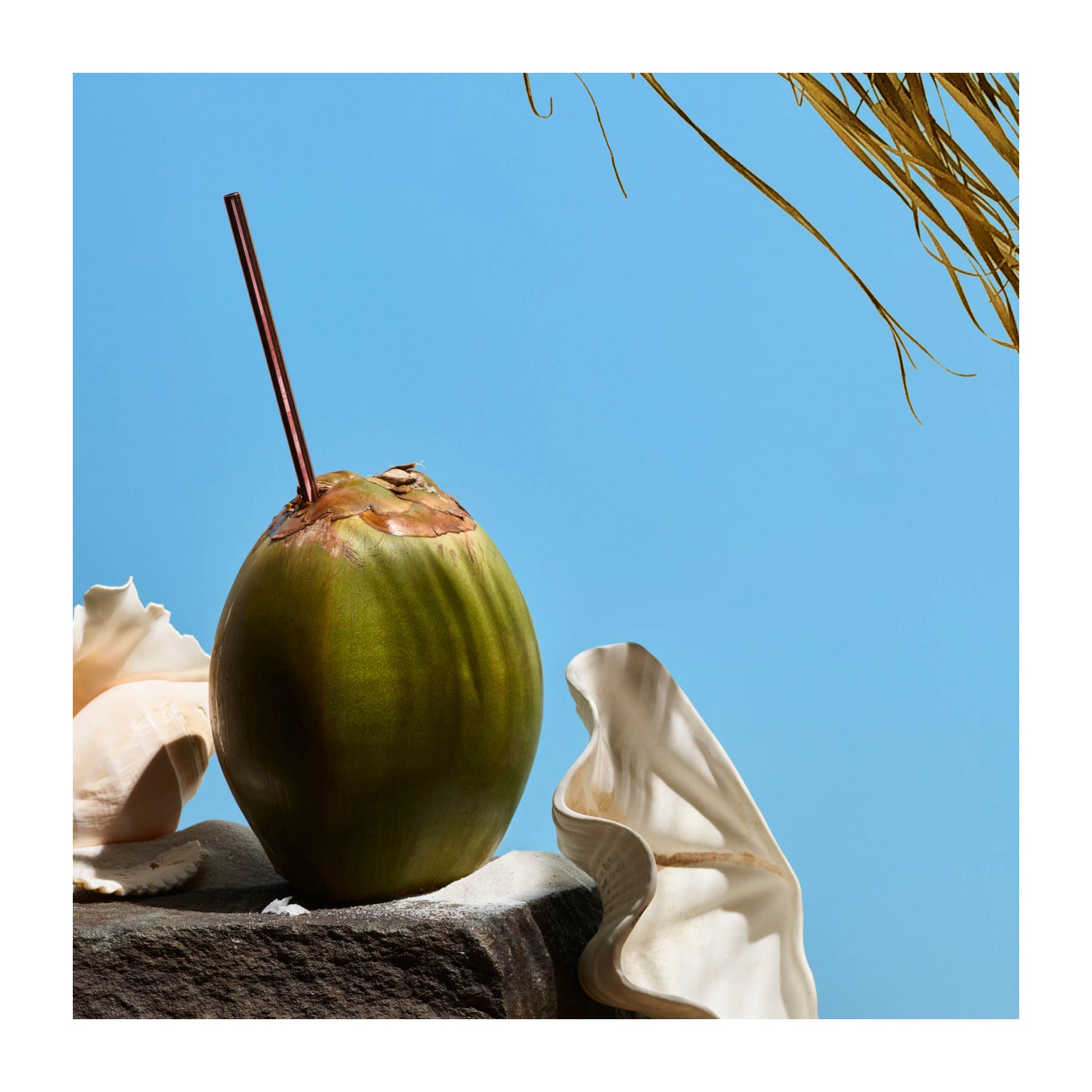 Drift_Single_Wood_Starter_Kit_Cabana_Lifestyle_Scent.jpg