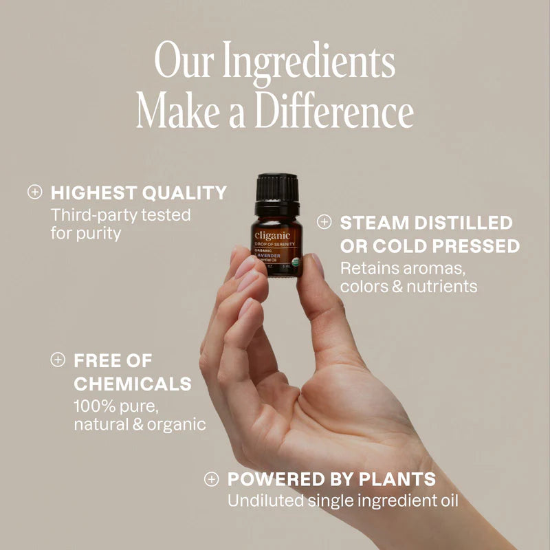 EO-Sets-TheIconics-8-Web-ImgCarousel-07.jpg
