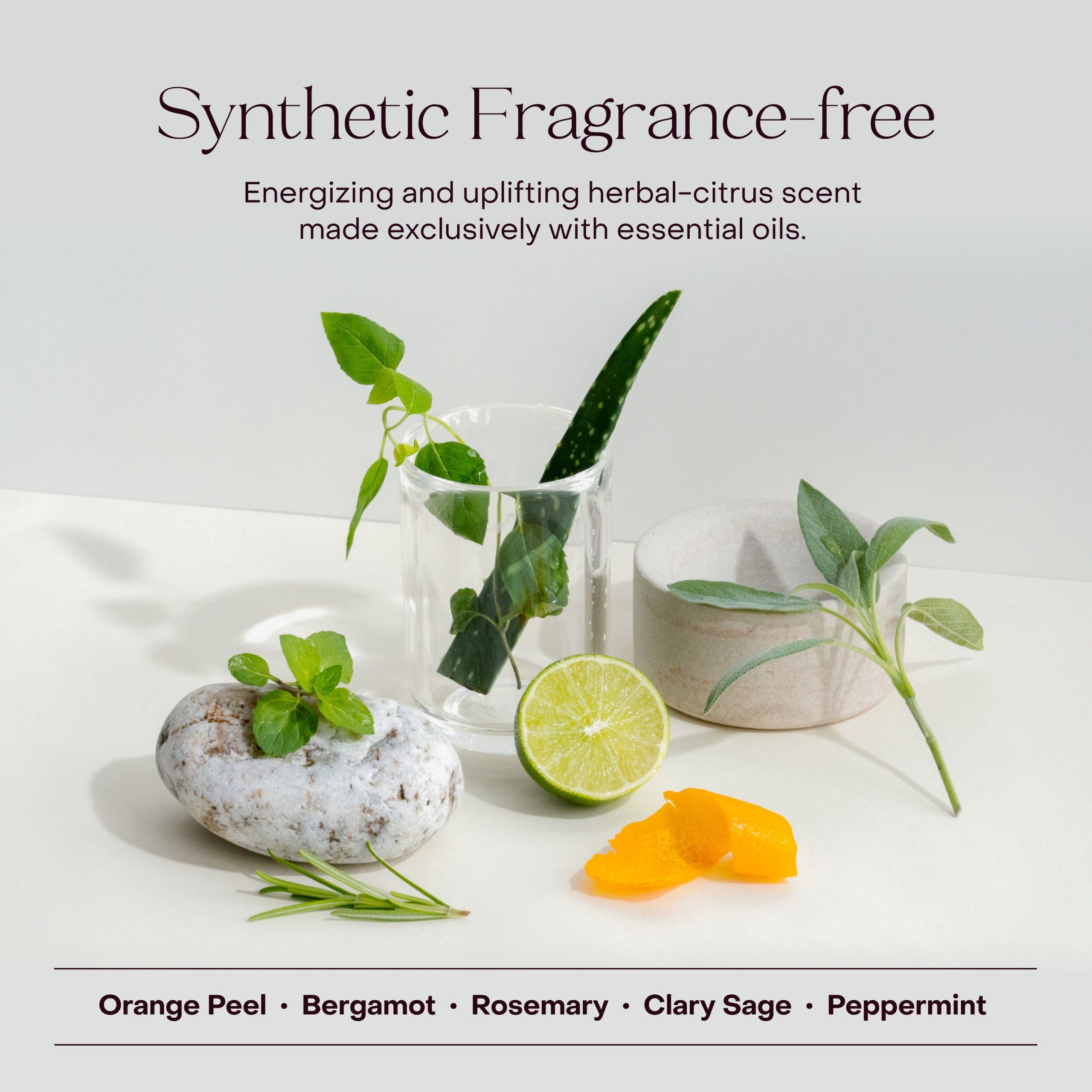 Everist_TheShampooConcentrate_Lifestyle7.jpg