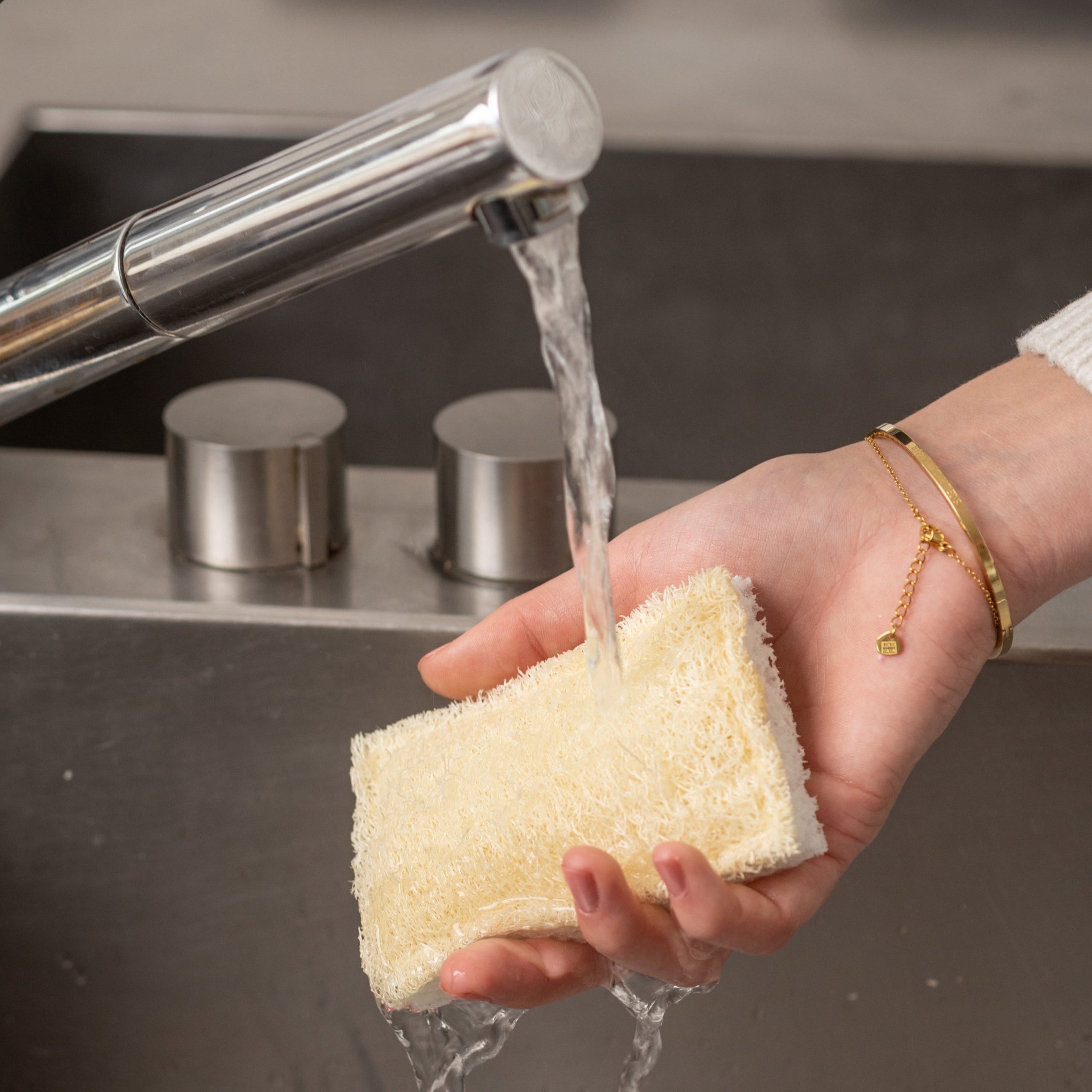 FC25215DLoofahScrubberSponge2pk_LS2.jpg