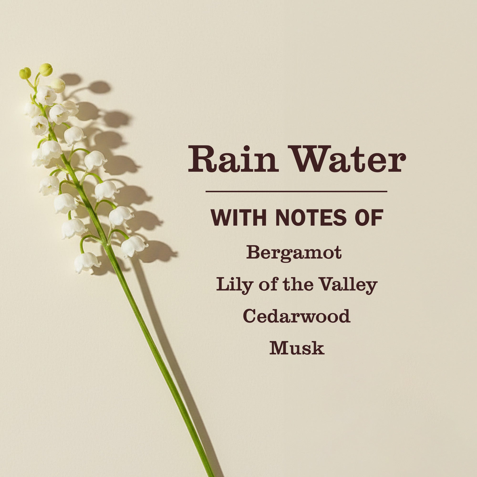 FabricFreshenerSprayRainWater3.jpg