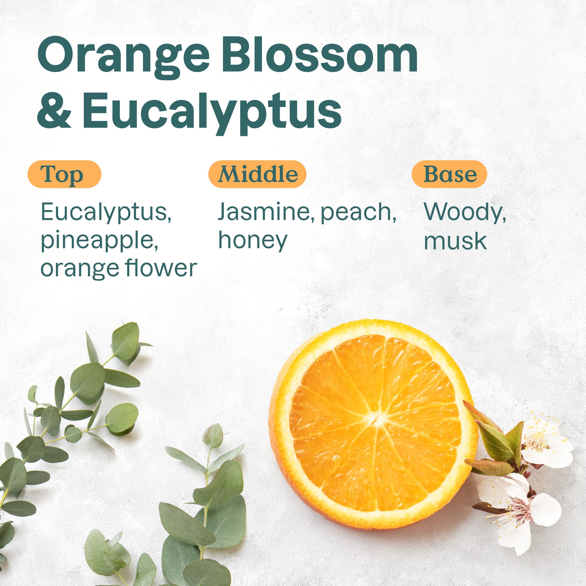 Fragrance_Orange_11976.jpg