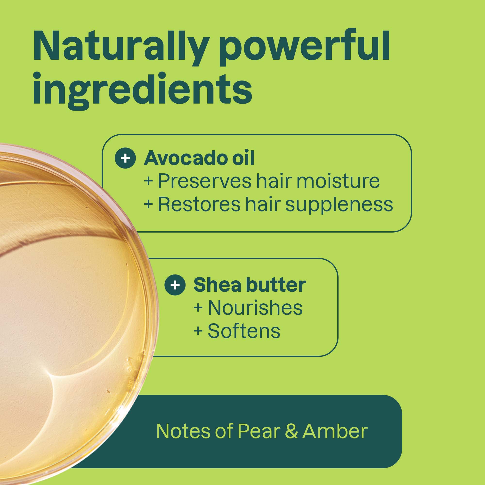 Ingredients-Pear_Amber_11813.jpg