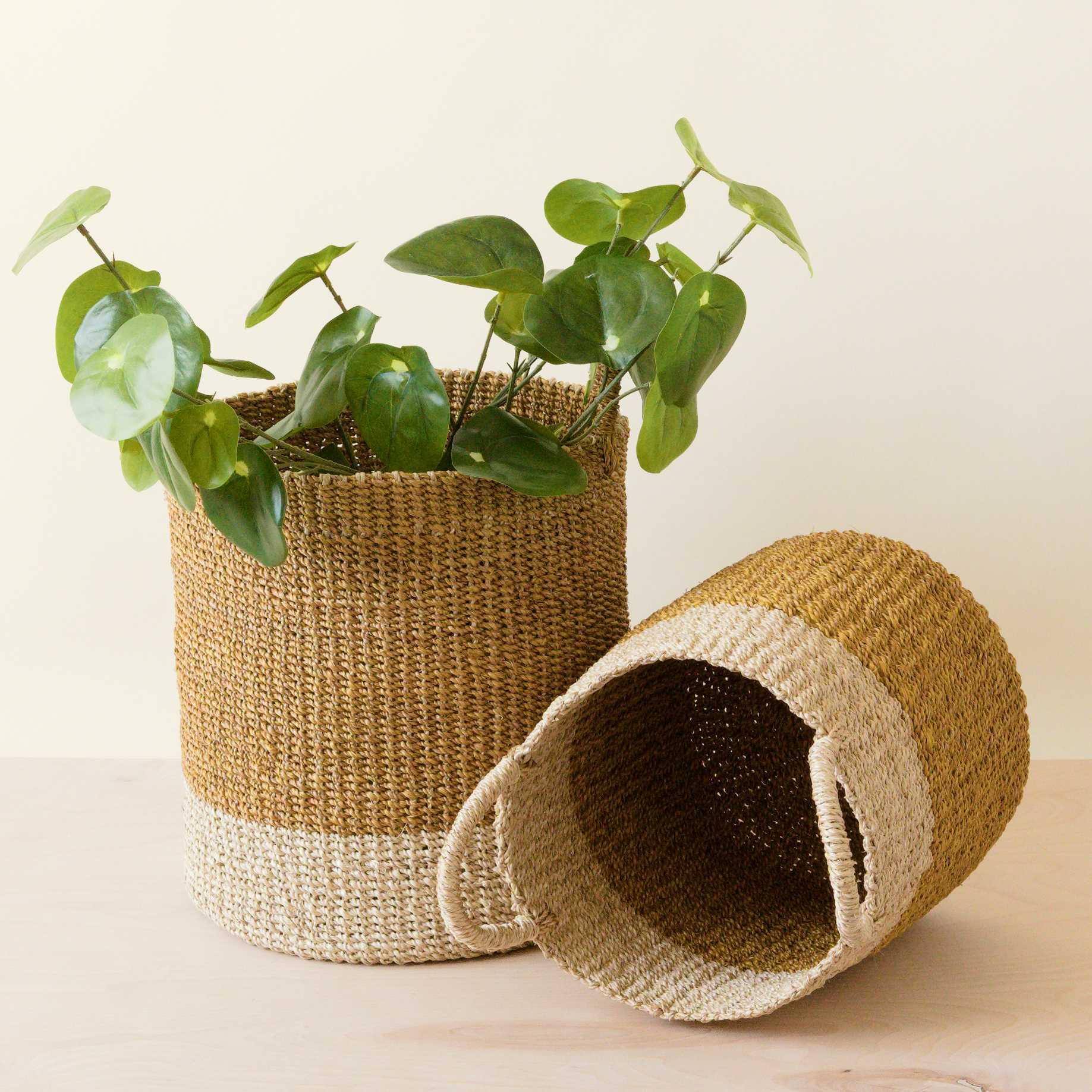 LIKHA_80047_Abaca-Cylinder-Baskets-s2_Mustard-2.jpg