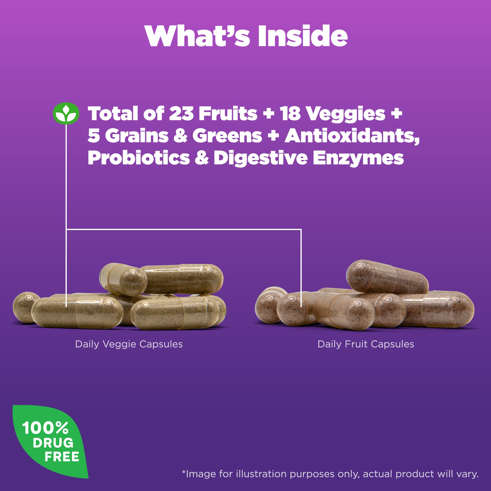NATROL_5303.9719__JuiceFestiv_60ctBox_KeyIngredients.jpg