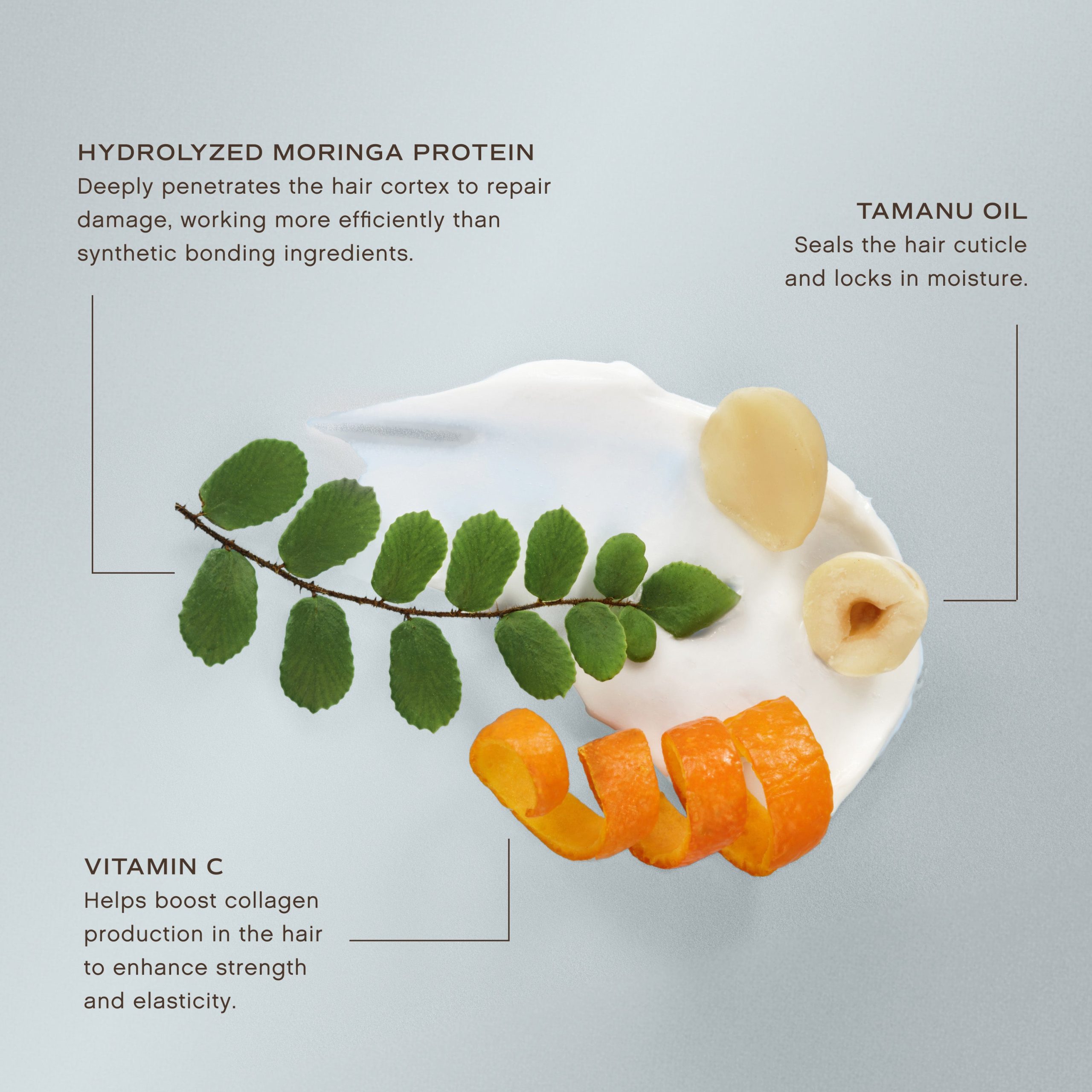 PDP-Ingredient_3000x3000_72PPI.jpg