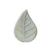Vanilla & Sage Bath Bomb