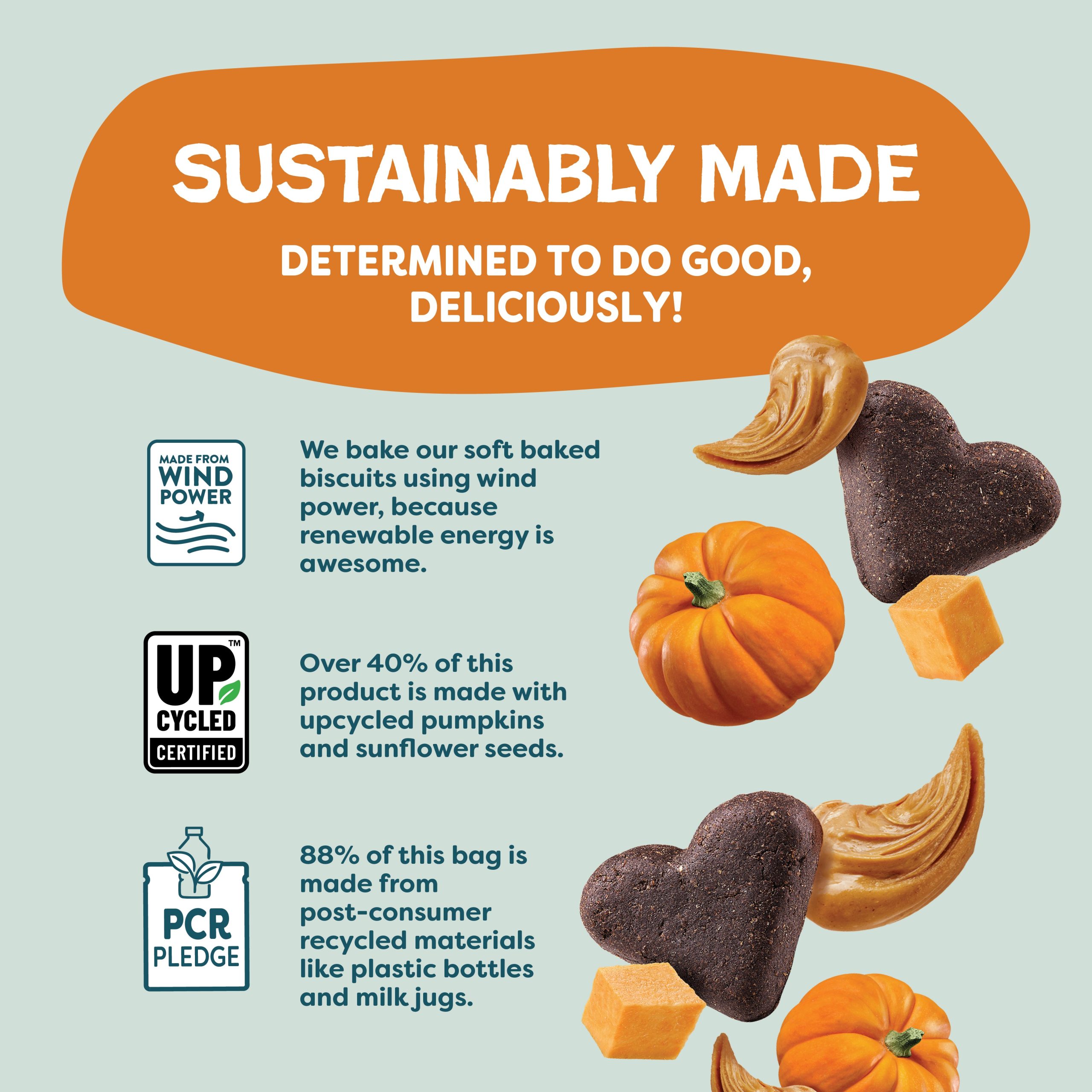 PumpkinNutPartay_6.jpg