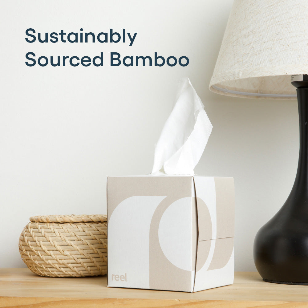 Reel_BFT_1ct_bamboo.jpg
