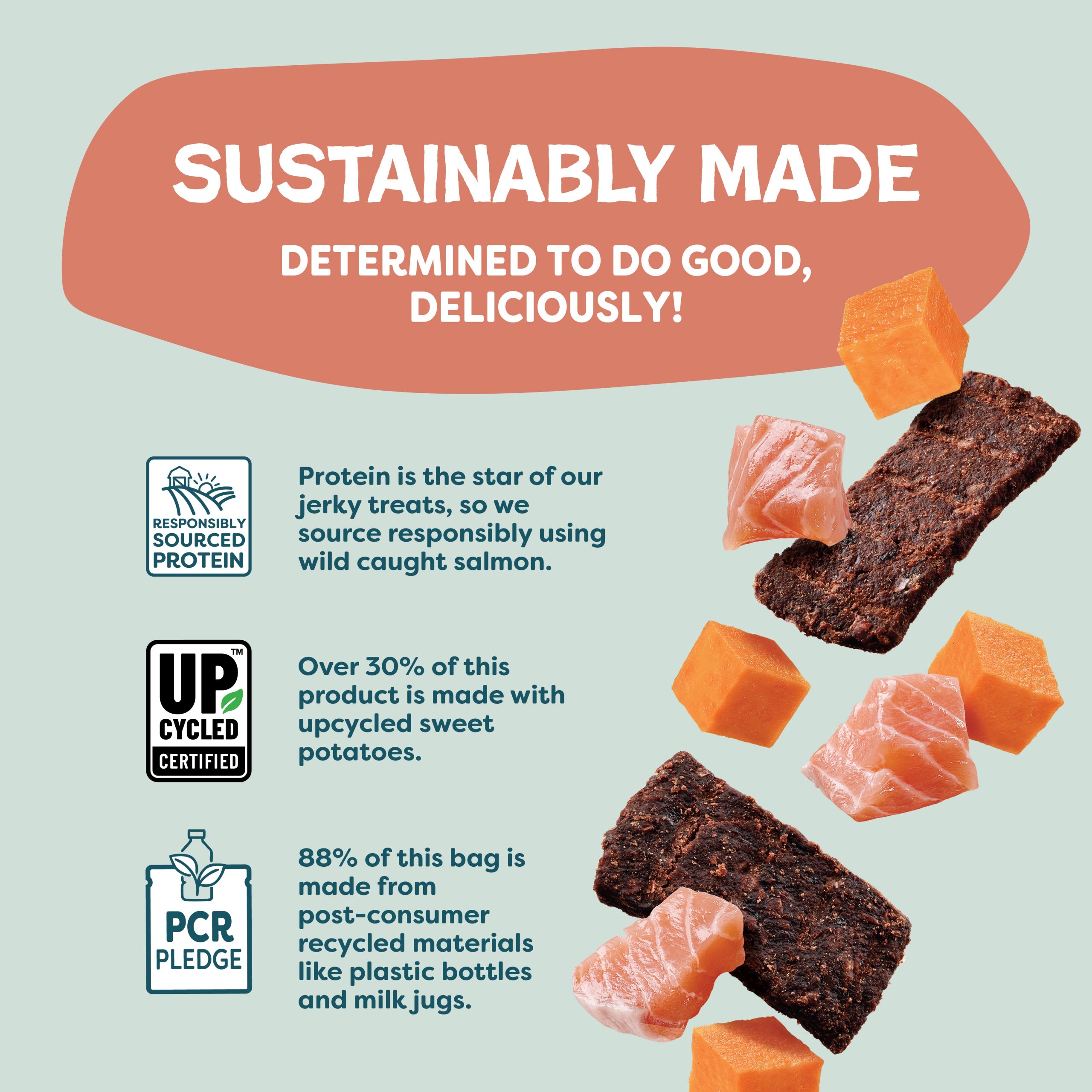 SalmonLovesButternut_P6.jpg