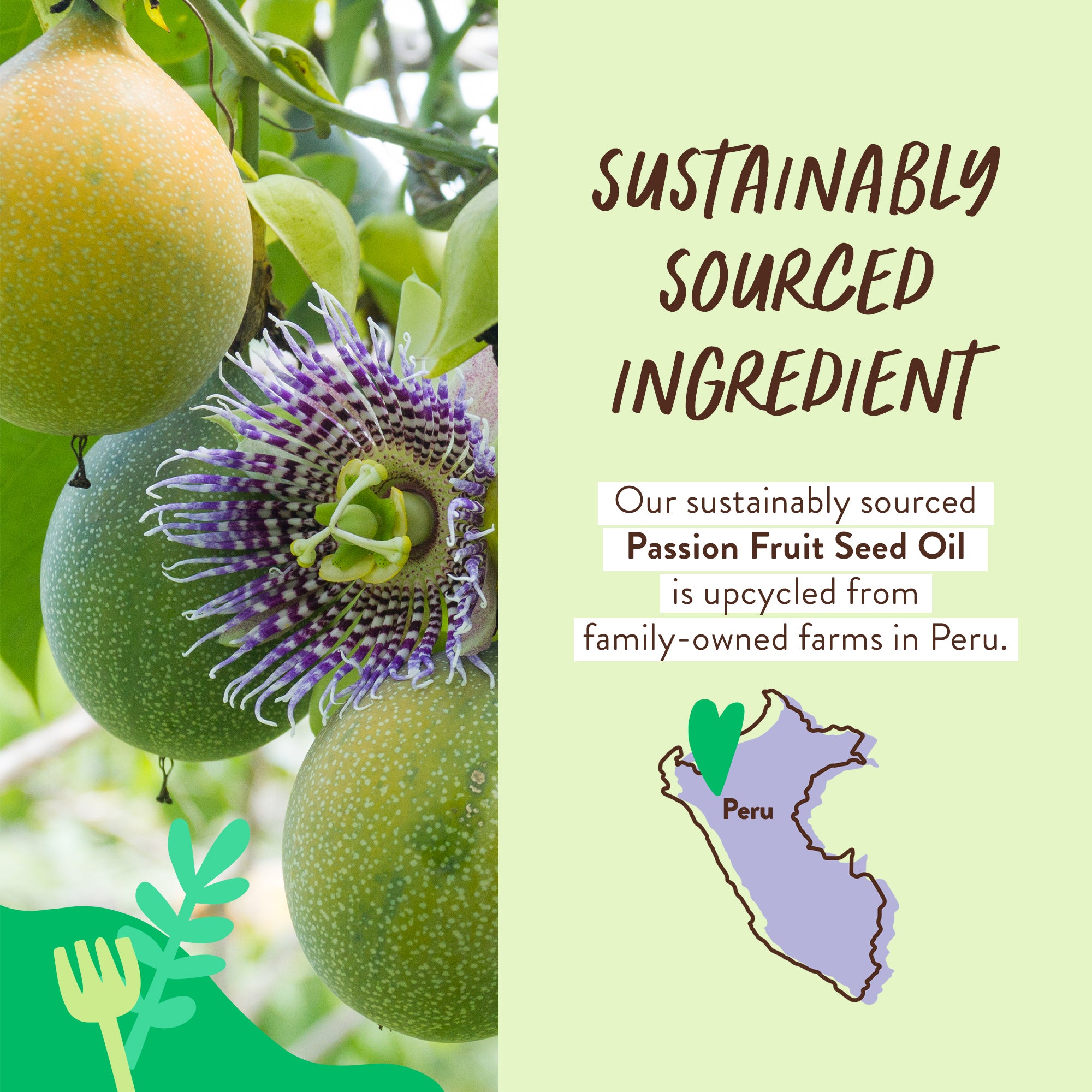 Sustainable-Ingredient-Passion-Fruit-GROVE.jpg