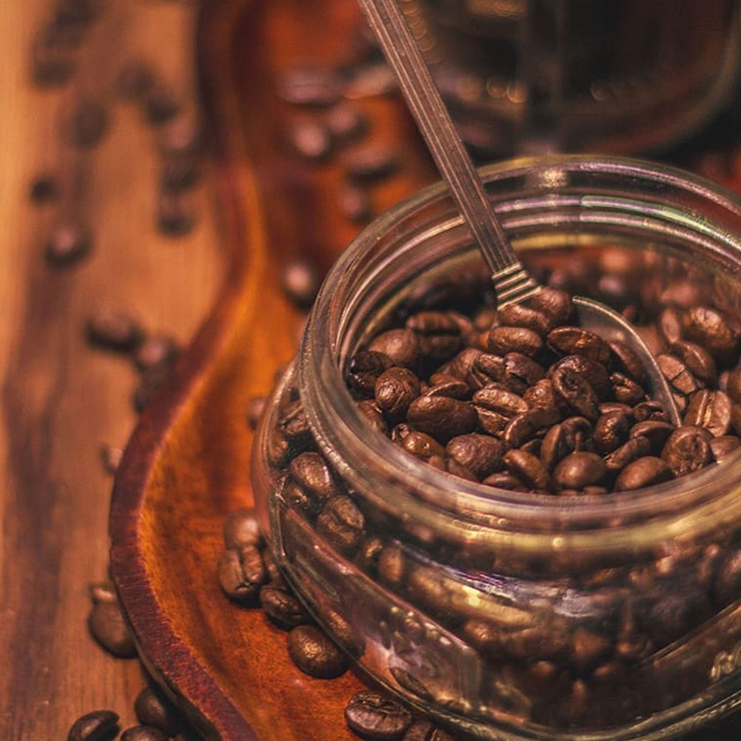 TCC_Lifestyle.Beans_1.jpg