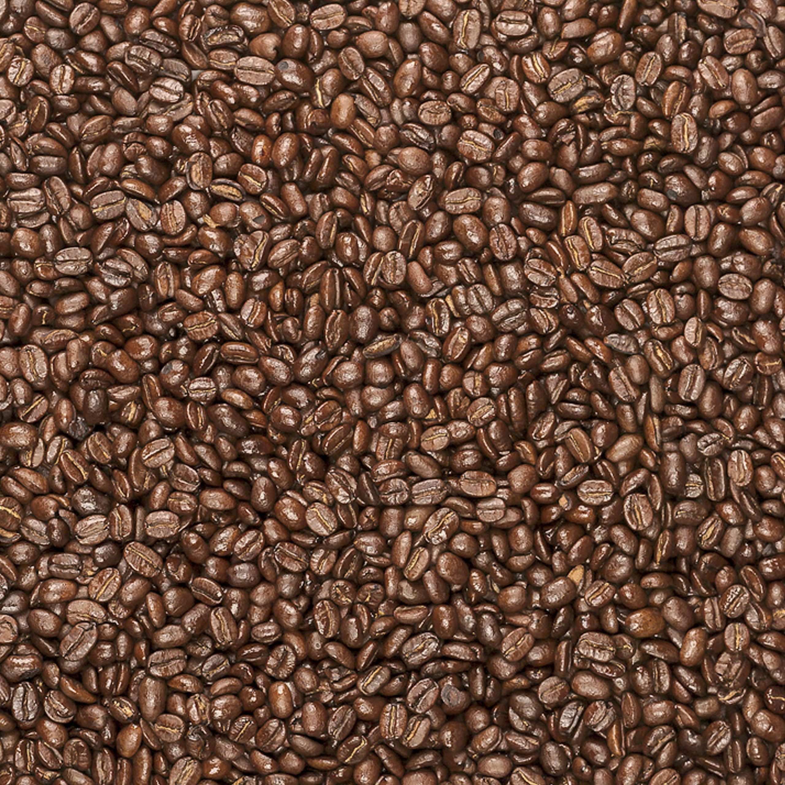 TCC_SongBird_Lifestyle-Mbeans.jpg