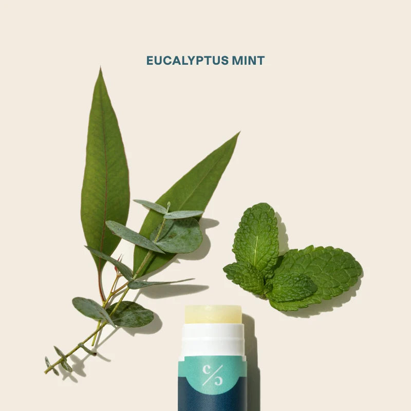 organic-lip-balm-eucalyptus-mint-592112.jpg