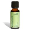 Organic Peppermint Essential Oil - Relieving Aromatherapy